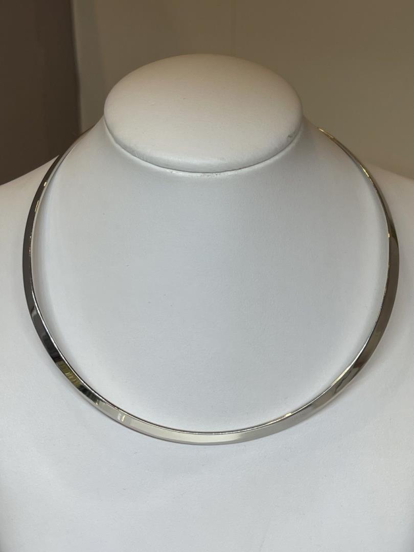 Aro Modelo Anatômico