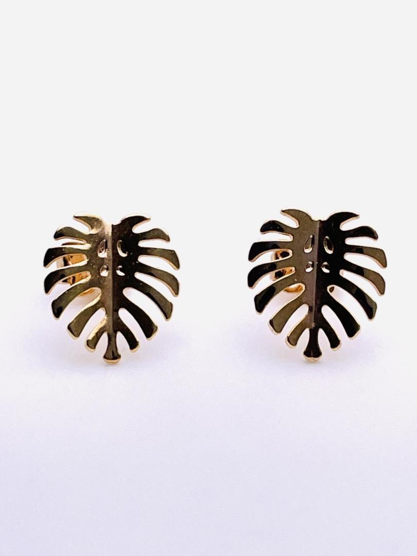 Brinco Costela De Adão - Imagem 2