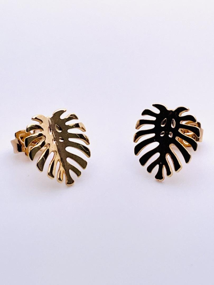 Brinco Costela De Adão