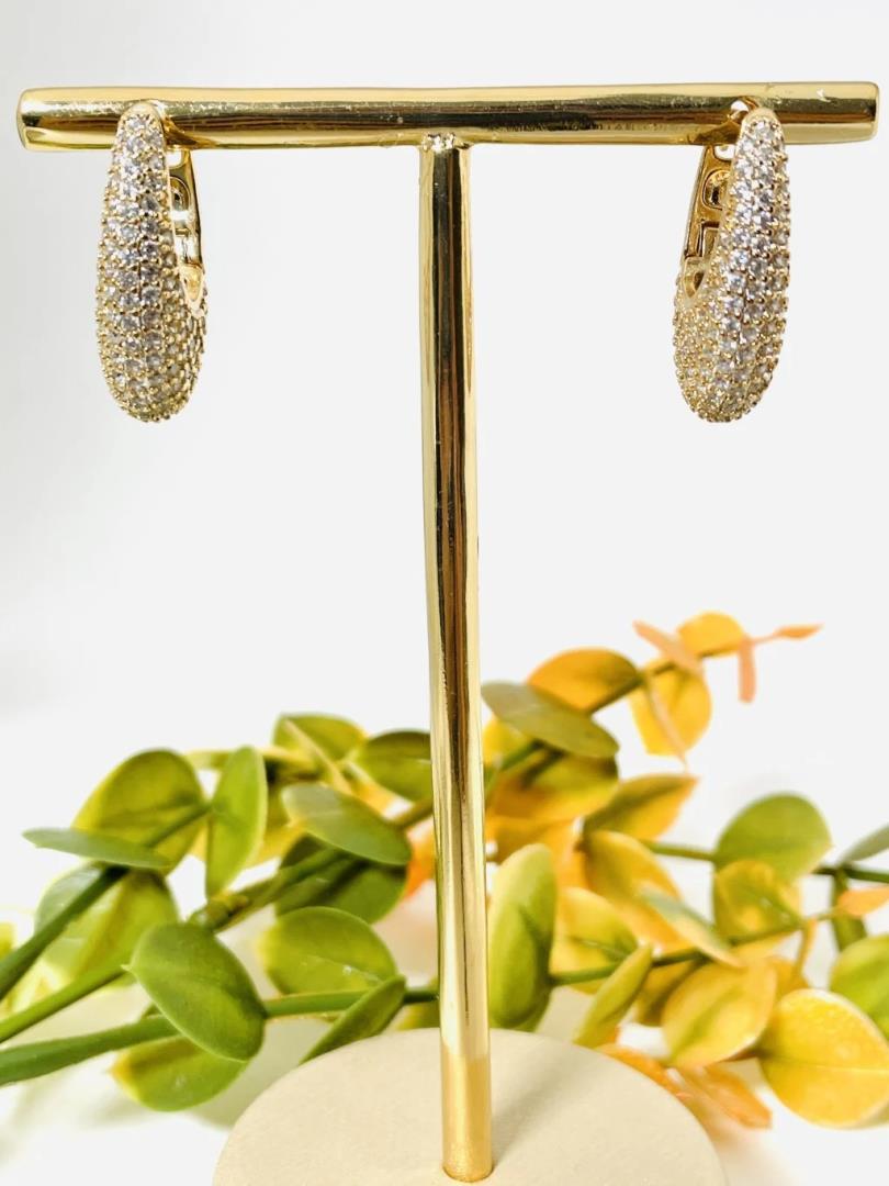 Brinco Formato Oval Cravejado