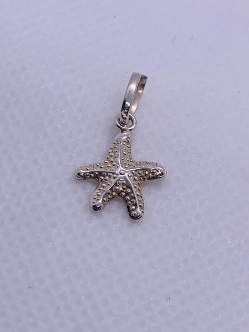 Pingente Estrela Do Mar Em Prata 925