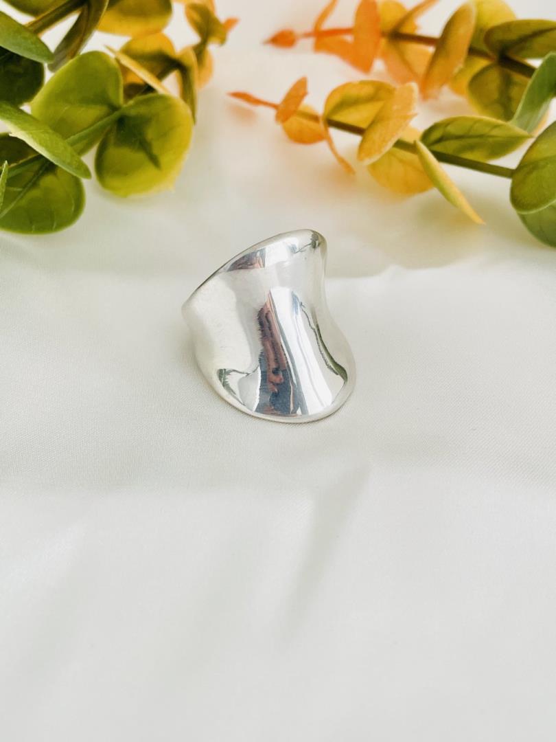 Anel de Prata 950 - Imagem 2